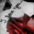 :iconrandomhousestock: