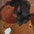 :iconrandomhyperness0: