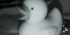 :iconrandomhyperpeople: