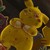 :iconrandomness699: