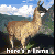 :iconrandomness99: