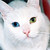 :iconrandomperson5273: