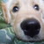 :iconrandompersonpelin: