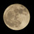 :iconrandomridds:
