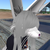 :iconrandumfluffehclouds: