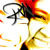 :iconranef: