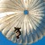 :iconrangerbn275: