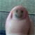 :iconrangor: