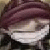 :iconrankourai999: