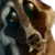 :iconranstag:
