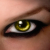 :iconranting-n-rambling: