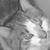 :iconrantsword: