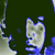 :iconranz11: