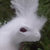 :iconraokaran: