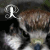 :iconraowolf-bushtail: