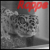 :iconrap-pe: