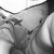 :iconrapauldo:
