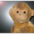 :iconraphotostudio306:
