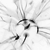 :iconrapiandres:
