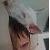 :iconrapid--eye--movement: