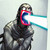 :iconrapidelectric: