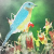 :iconraplikeananimal: