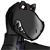 :iconraptor-shadow: