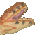 :iconraptorsgorawr: