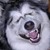 :iconrapturites: