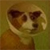 :iconraquel-lison: