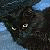 :iconrara: