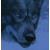 :iconrarth: