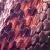 :iconras-blackfire: