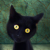 :iconrascanka: