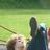 :iconrasmusbrinck: