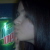 :iconraspberrysunshine: