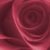 :iconraspberryswirlgirl: