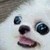:iconrasputinto: