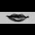 :iconrastaquouere: