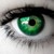 :iconrat280566: