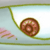 :iconratatoie: