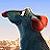 Ratatouille-Writers :iconratatouille-writers: