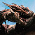 :iconrathalos90210: