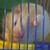 :iconrathands: