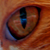 :iconratsu888: