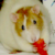 RattyLove :iconrattylove: