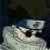 :iconrav3n444: