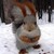 :iconravageur77: