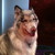 :iconrave84: