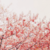 :iconravecandii: